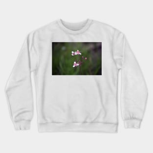 Flowering Rush Crewneck Sweatshirt